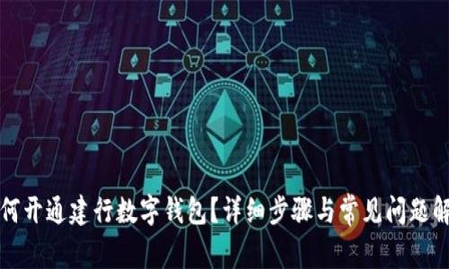 如何开通建行数字钱包?详细步骤与常见问题解答