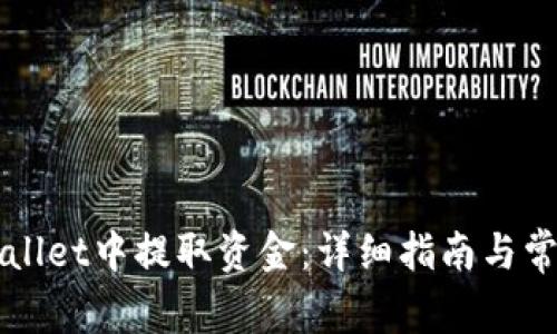如何从TPWallet中提取资金:详细指南与常见问题解答
