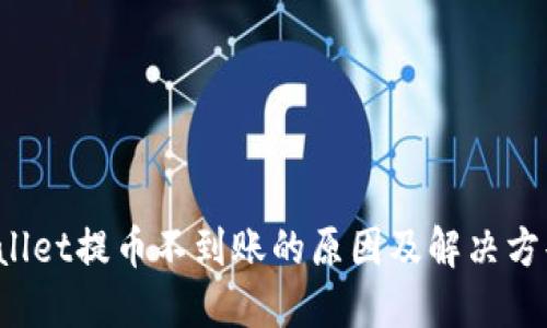 TPWallet提币不到账的原因及解决方案详解