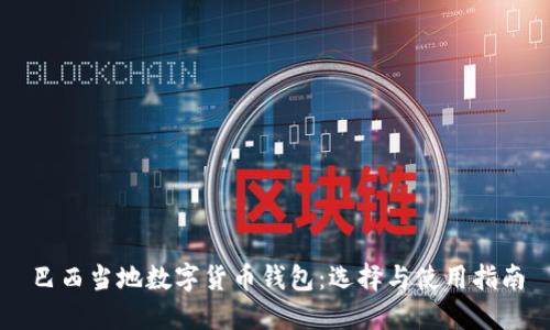 巴西当地数字货币钱包:选择与使用指南