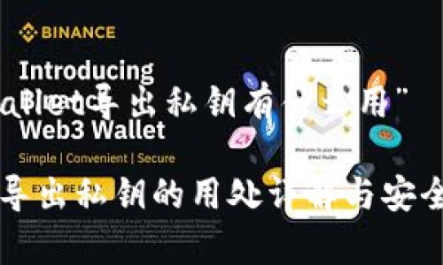关于“tpwallet导出私钥有什么用”
TPWallet导出私钥的用处详解与安全注意事项