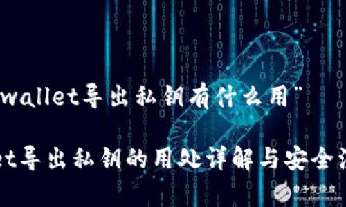关于“tpwallet导出私钥有什么用”
TPWallet导出私钥的用处详解与安全注意事项