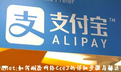 TPWallet:如何删除网络Cce3的详细步骤与解决方案