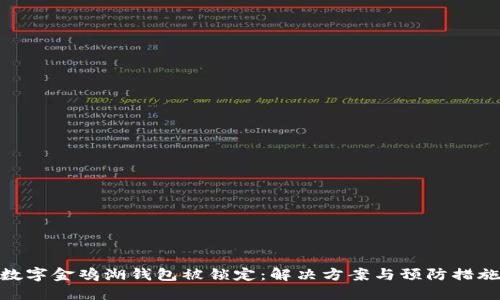 数字金鸡湖钱包被锁定:解决方案与预防措施
