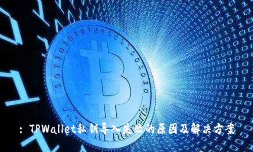 : TPWallet私钥导入失败的原因及解决方案
