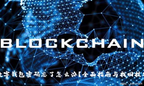 数字钱包密码忘了怎么办?全面指南与找回技巧