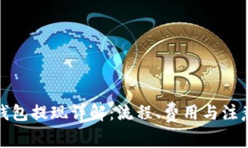 数字钱包提现详解：流程、费用与注意事项