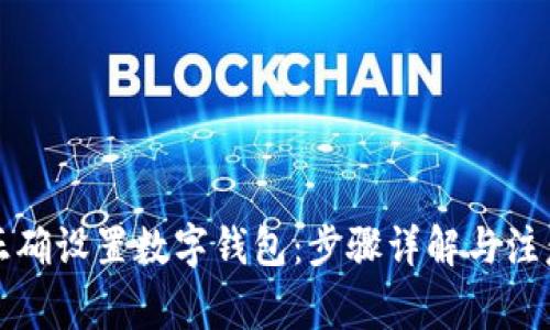 如何正确设置数字钱包:步骤详解与注意事项