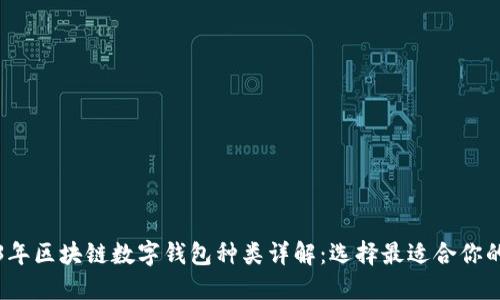 2023年区块链数字钱包种类详解:选择最适合你的钱包