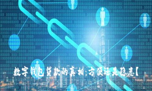 数字钱包贷款的真相:方便还是隐患?