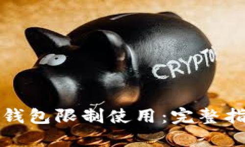 怎样解开数字钱包限制使用:完整指南与实用技巧