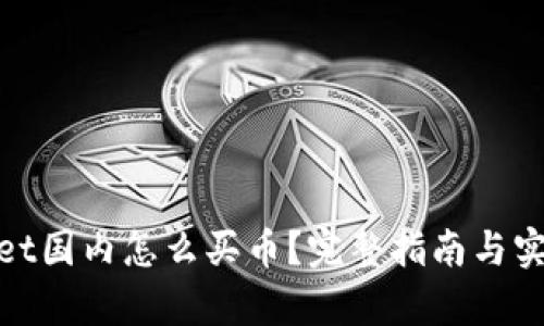 tpwallet国内怎么买币?完整指南与实用技巧