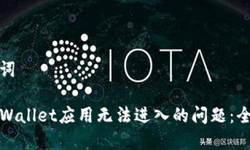和关键词
解决TPWallet应用无法进入的问题:全面指南
