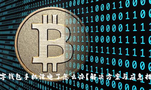 数字钱包手机没电了怎么办？解决方案与应急措施