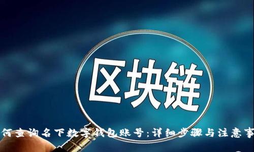 如何查询名下数字钱包账号:详细步骤与注意事项