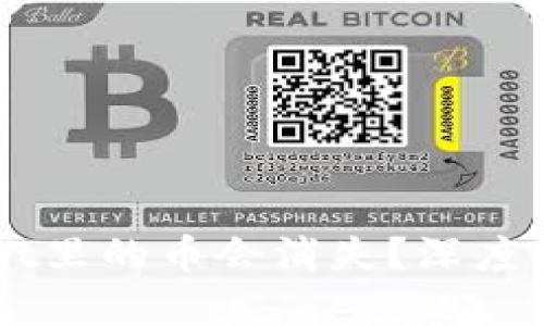 为什么TPWallet里的币会消失?深度解析及解决方案