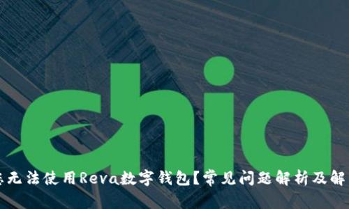 为何您无法使用Reva数字钱包?常见问题解析及解决方案