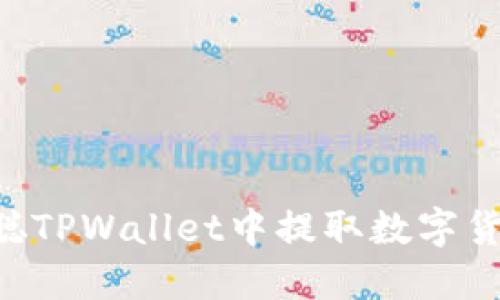 如何在中本聪TPWallet中提取数字货币:详细指南