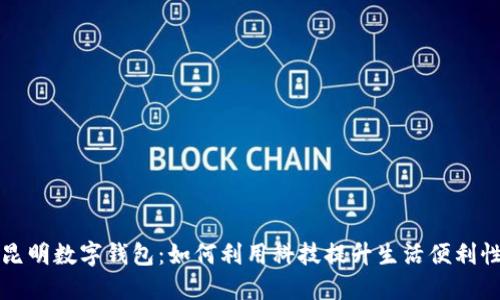 昆明数字钱包:如何利用科技提升生活便利性