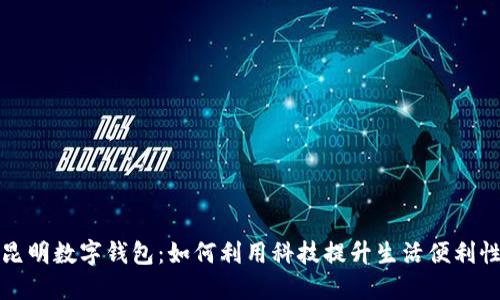 昆明数字钱包:如何利用科技提升生活便利性