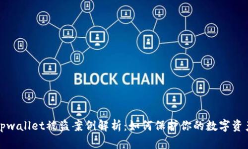 tpwallet被盗案例解析:如何保护你的数字资产