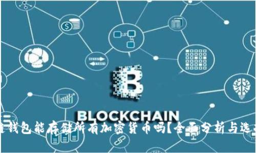 区块链钱包能存储所有加密货币吗?全面分析与选择指南