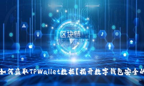 黑客如何盗取TPWallet数据?揭开数字钱包安全的秘密