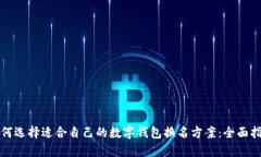 如何选择适合自己的数字钱包换名方案：全面指