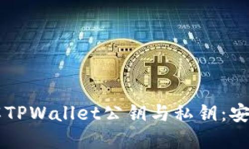 ### 深入理解TPWallet公钥与私钥:安全性与操作指南