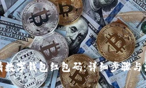 如何申请数字钱包红包码:详细步骤与注意事项