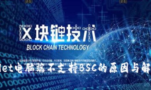 TPWallet电脑端不支持BSC的原因与解决方案
