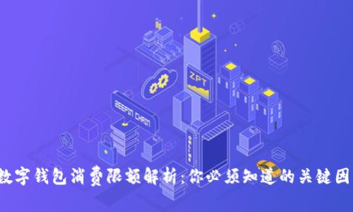 数字钱包消费限额解析:你必须知道的关键因素