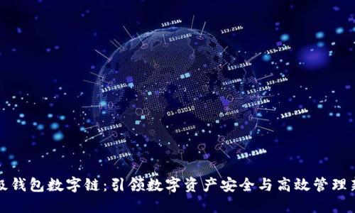 IC超级钱包数字链:引领数字资产安全与高效管理新风潮