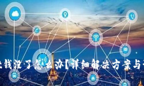 tpwallet钱没了怎么办?详细解决方案与预防措施
