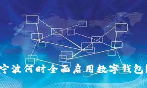 宁波何时全面启用数字钱包?