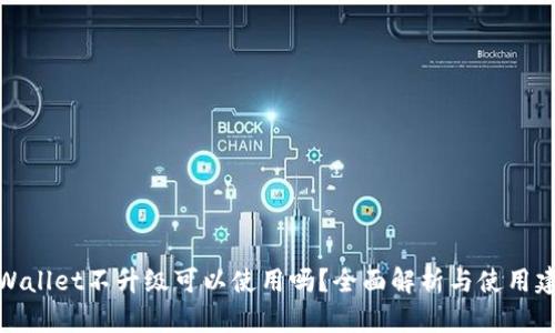 TPWallet不升级可以使用吗?全面解析与使用建议