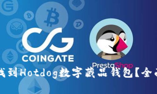 如何找到Hotdog数字藏品钱包?全面指南