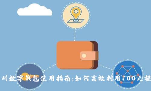 福州数字钱包使用指南：如何高效利用100元额度