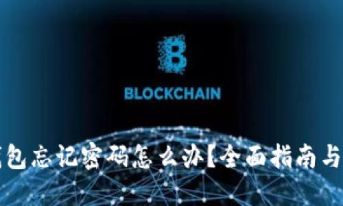 区块链钱包忘记密码怎么办?全面指南与解决方案
