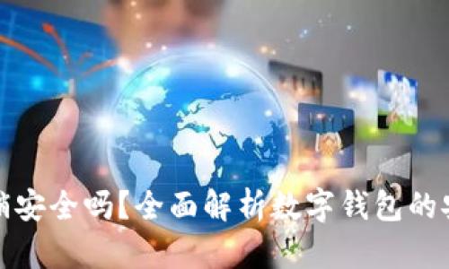 钱包数字分销安全吗?全面解析数字钱包的安全性与风险