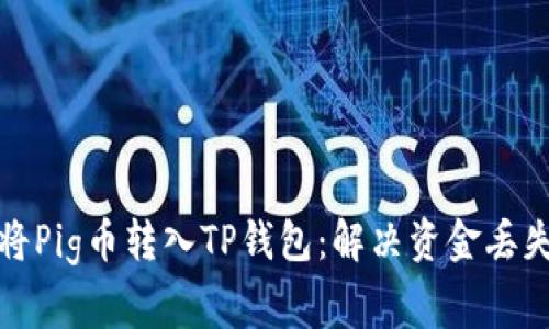 如何安全地将Pig币转入TP钱包:解决资金丢失的常见问题