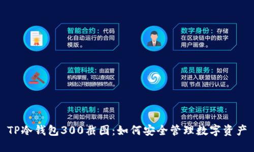 TP冷钱包300截图:如何安全管理数字资产