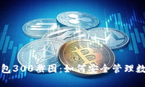 TP冷钱包300截图:如何安全管理数字资产