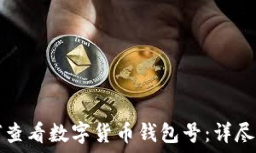 如何查看数字货币钱包号:详尽指南