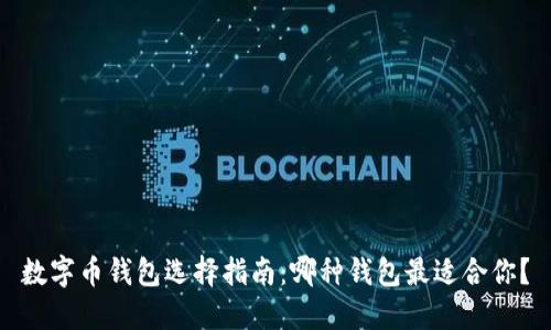 数字币钱包选择指南:哪种钱包最适合你?