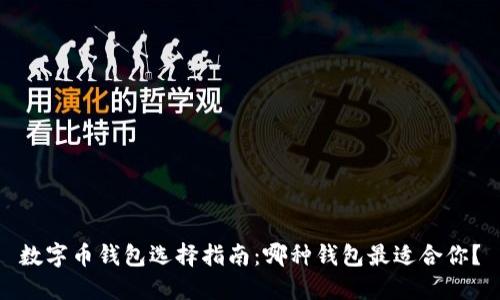 数字币钱包选择指南:哪种钱包最适合你?