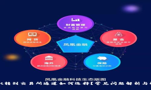 tpwallet转到交易所通道如何选择?常见问题解析与解决方法