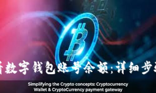 如何查看数字钱包账号余额:详细步骤与技巧