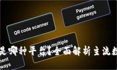 优质数字钱包号是哪种平台？全面解析主流数字