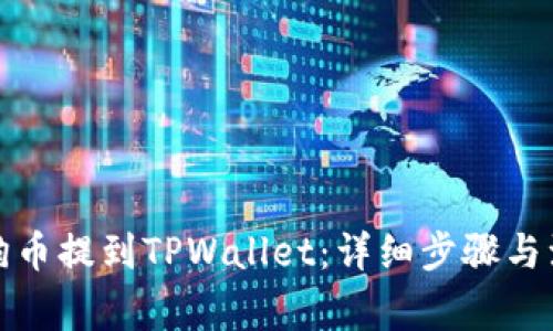 如何将狗币提到TPWallet:详细步骤与注意事项
